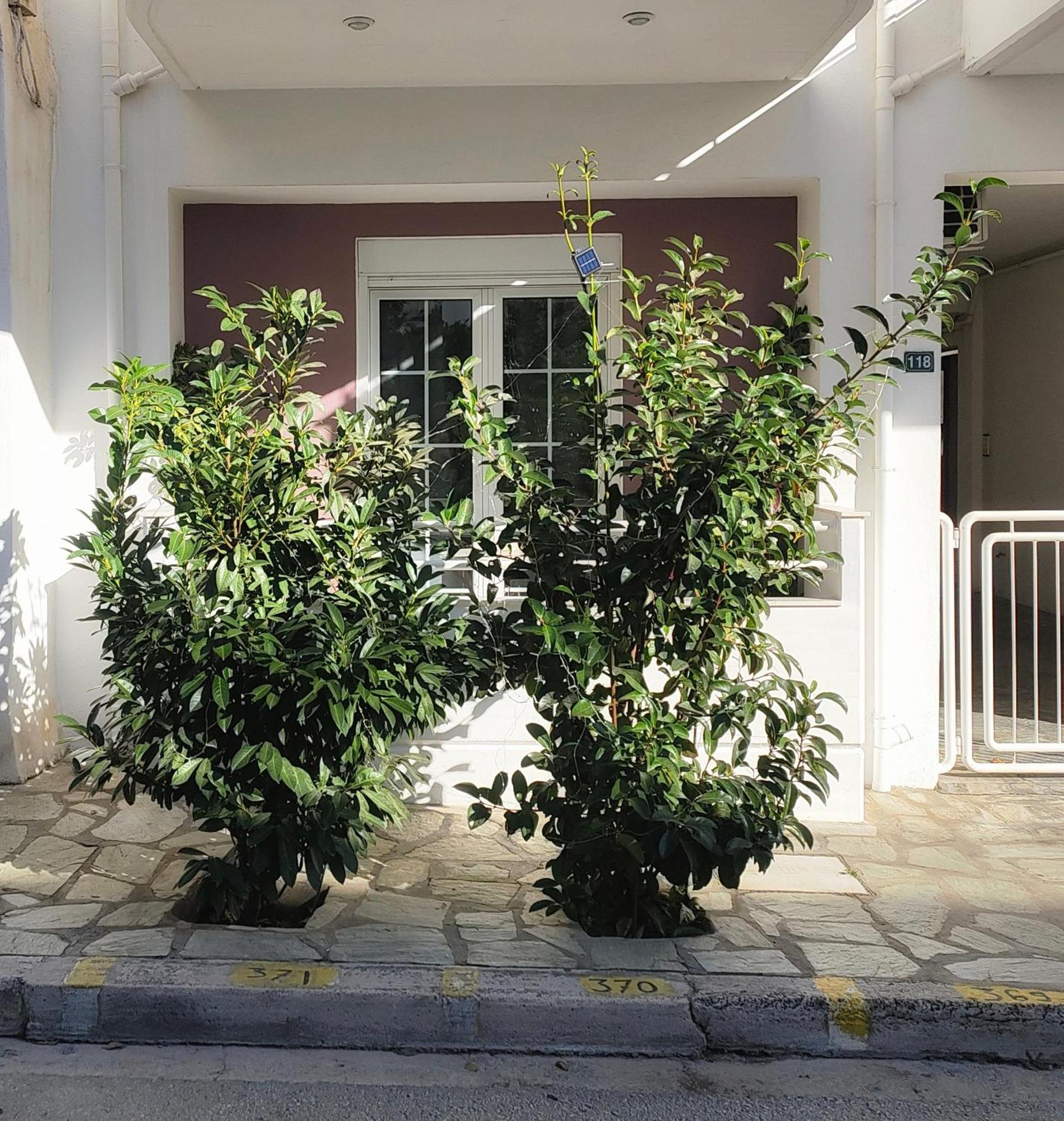 Home וולוס מראה חיצוני תמונה